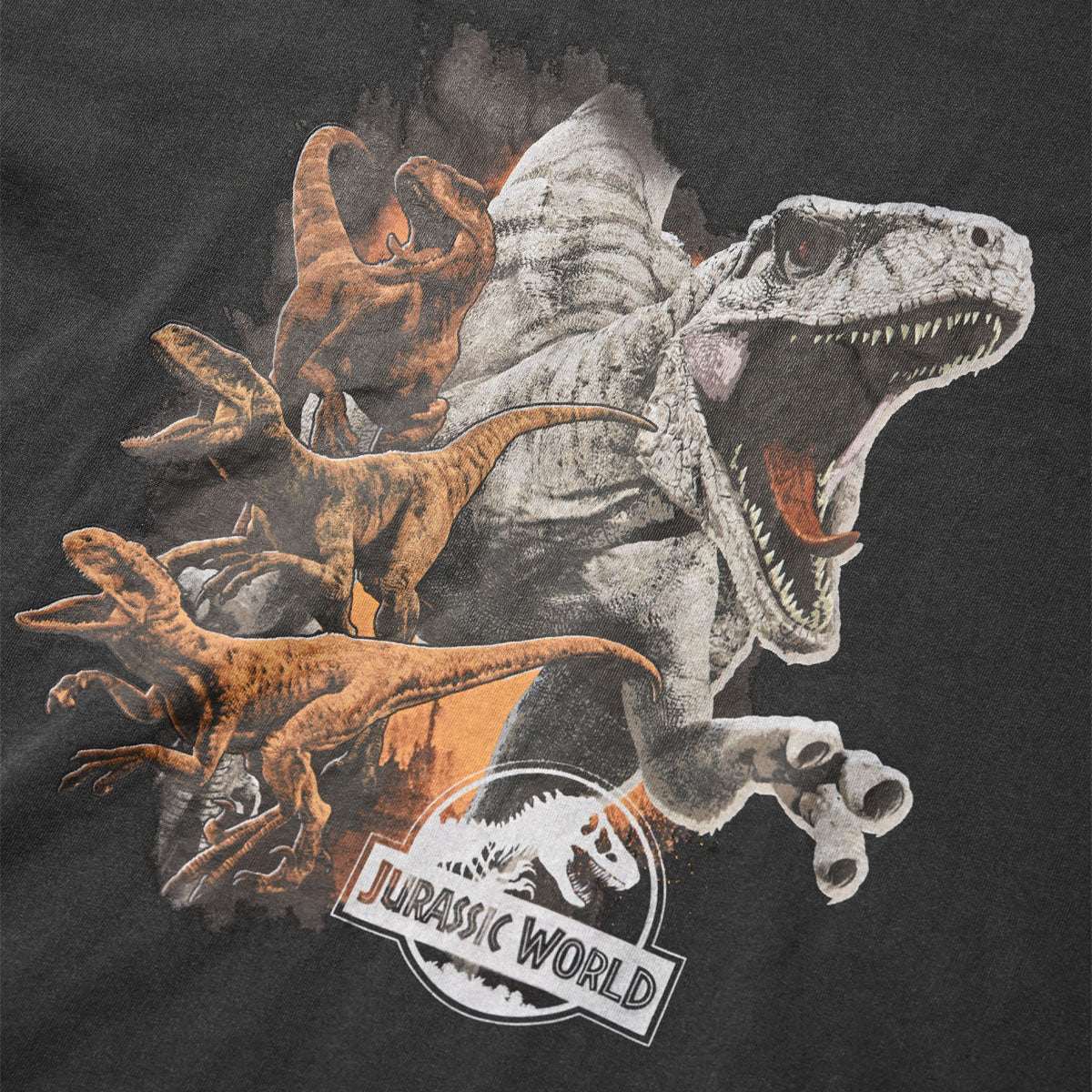 Jurassic World - Japan Exclusive Vintage Licensed Tee