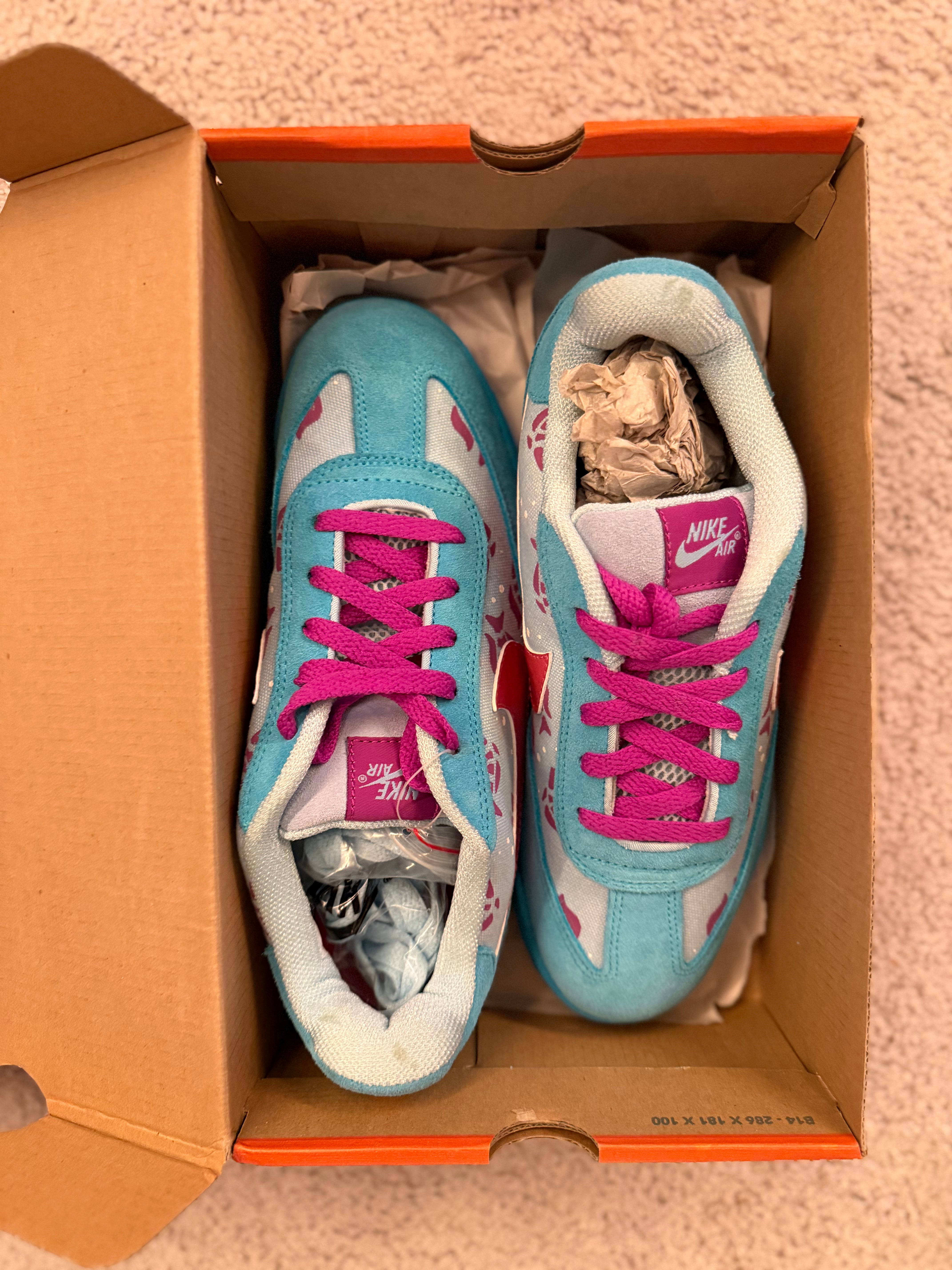 2004 - Laurie's Nike FC SB x Doernbecher "Fishy" - 309185-461
