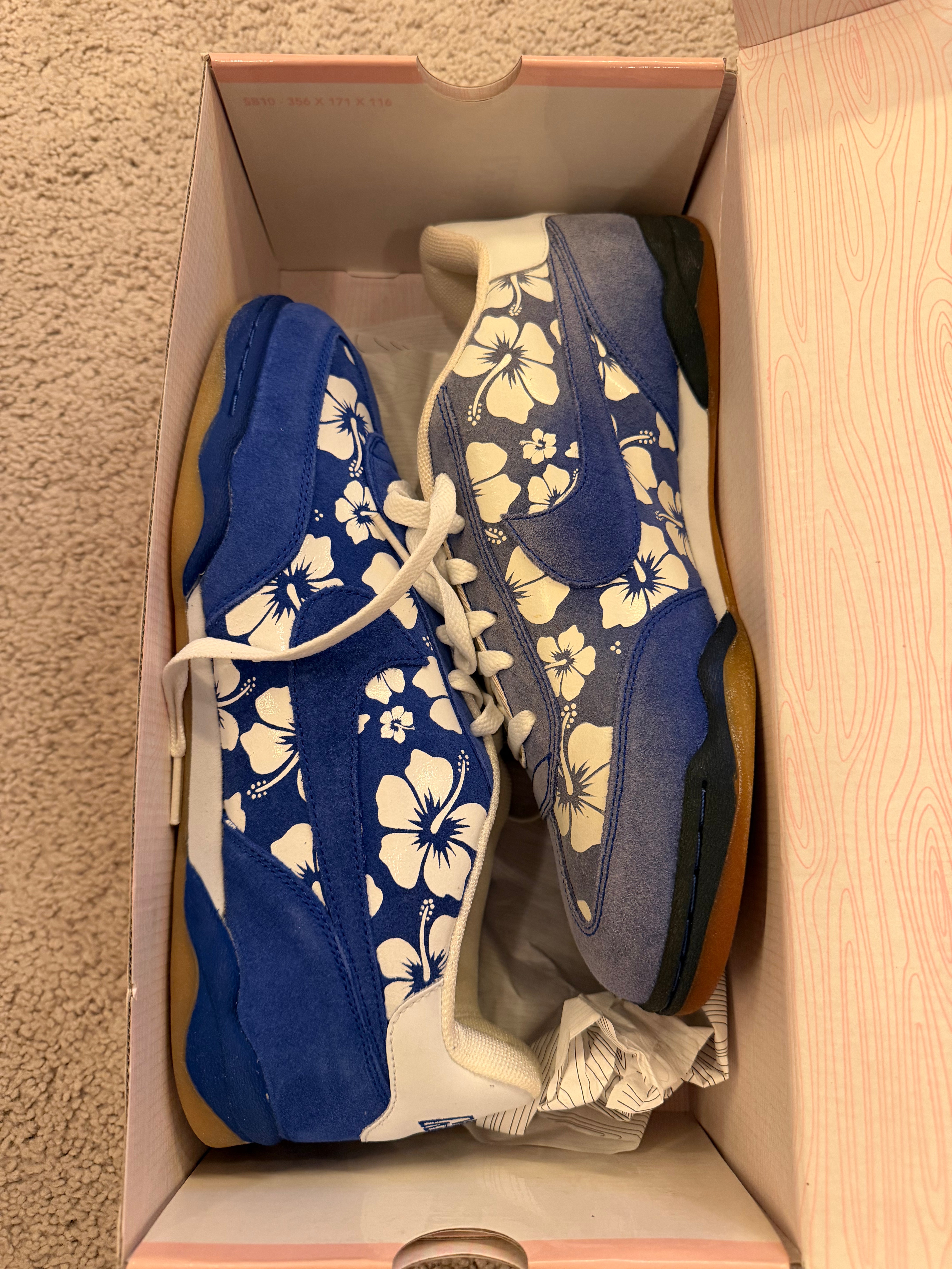 2004 - Leah's Nike FC SB x Doernebcher Air Zoom - 308173-441