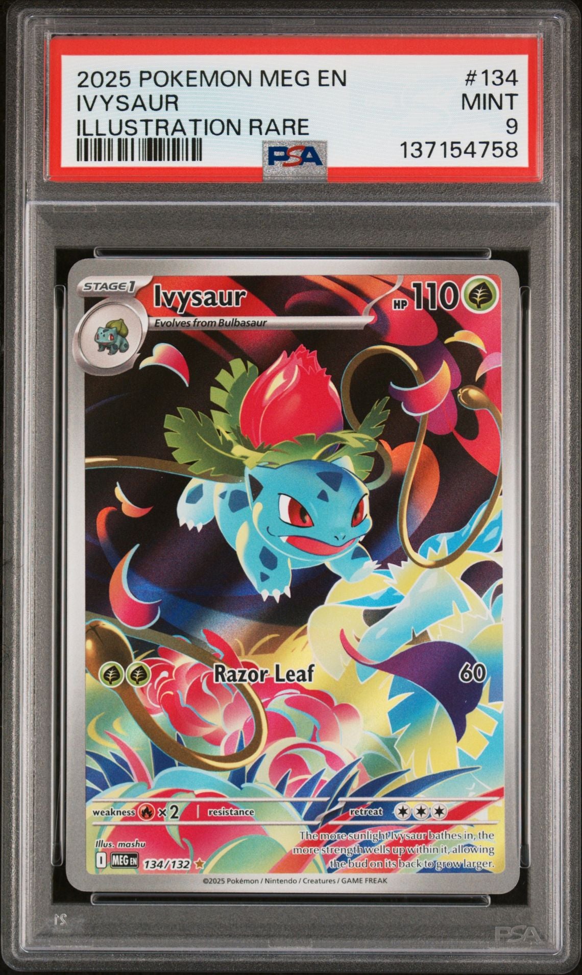 2025 Pokemon Mega Evolution MEG - #134 Ivysaur Illustration Rare - PSA Graded Card