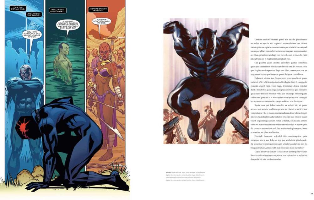 Marvel’s Black Panther: The Illustrated History of a King - Book