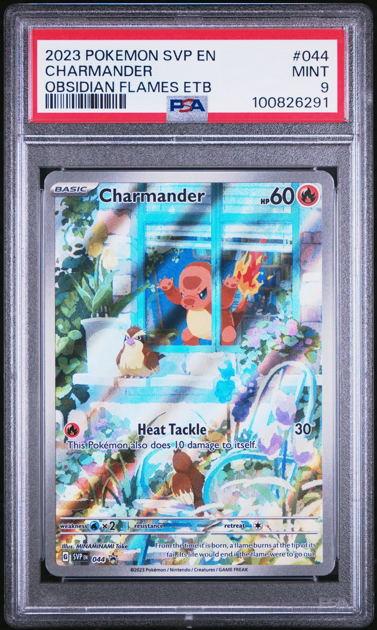 2024 Pokemon SVP-EN - #044 Charmander - Obsidian Flames ETB-  PSA Graded Card